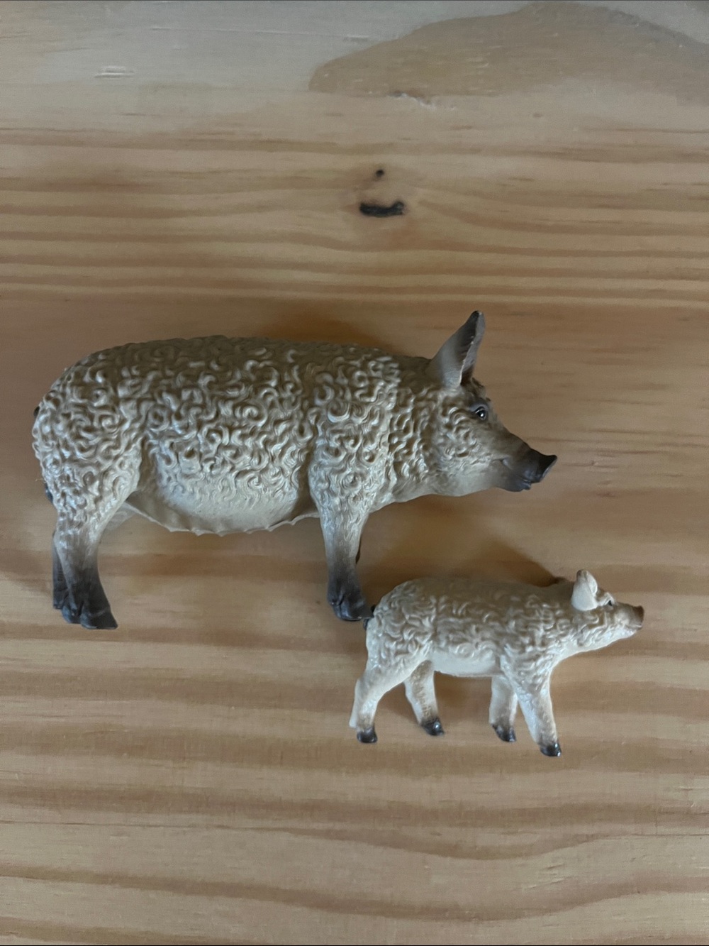 Schleich Mangalica Pig and Piglet